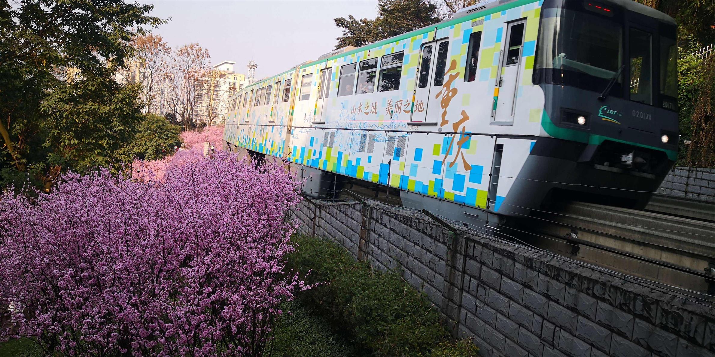 �������2����